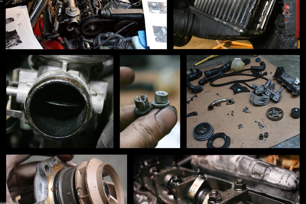 Timing Belt for Toyota Land Cruiser